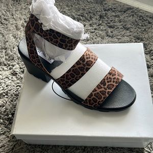 Steve Madden Haidar Cheetah
